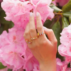 Cheap Luna Ring/Pastel Combo Ringar