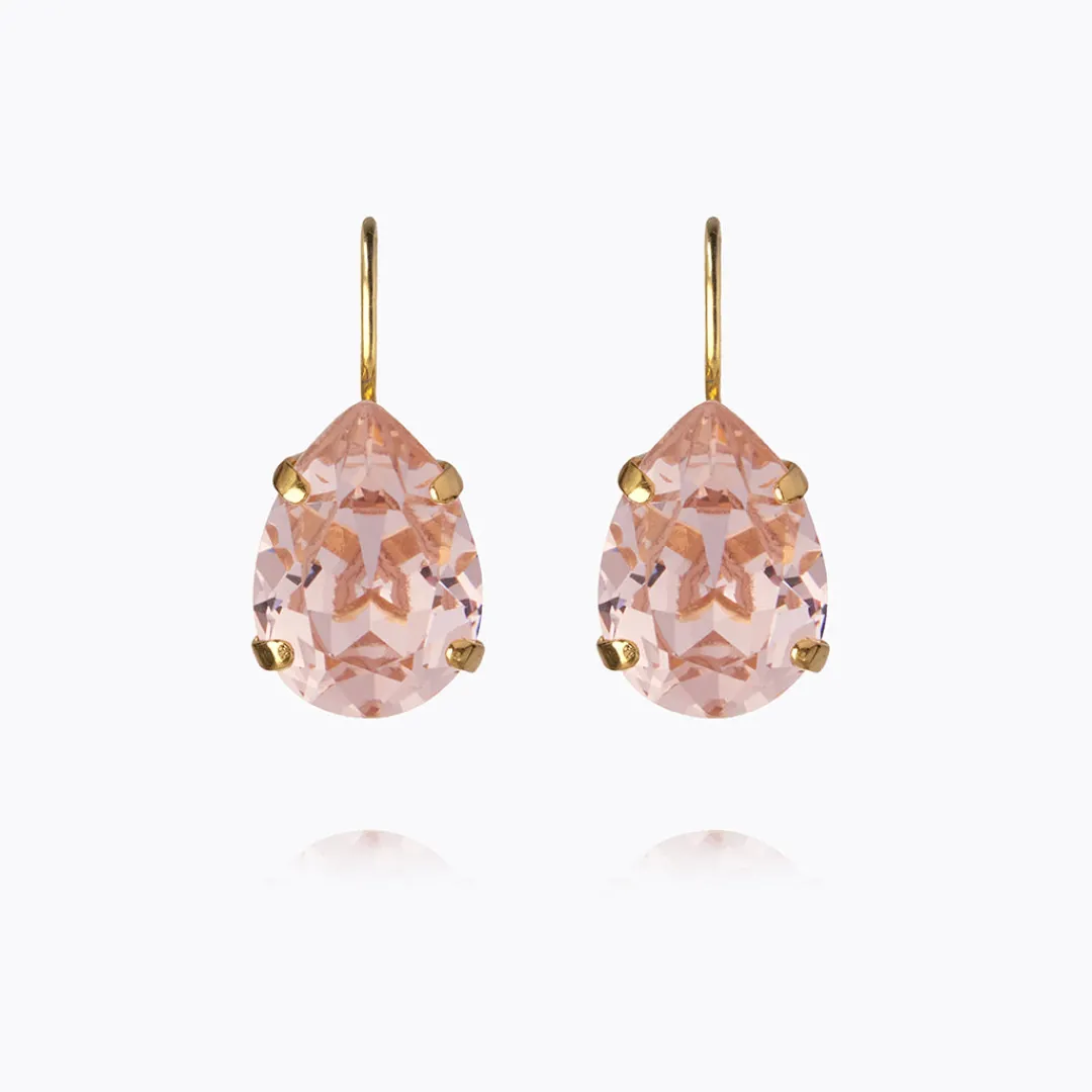 Online Mini Drop Clasp Earrings Örhängen