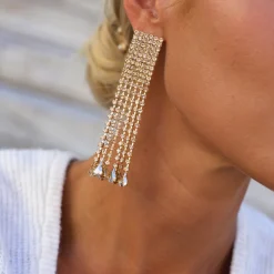 Clearance Scarlett Earrings/Golden Shadow Örhängen